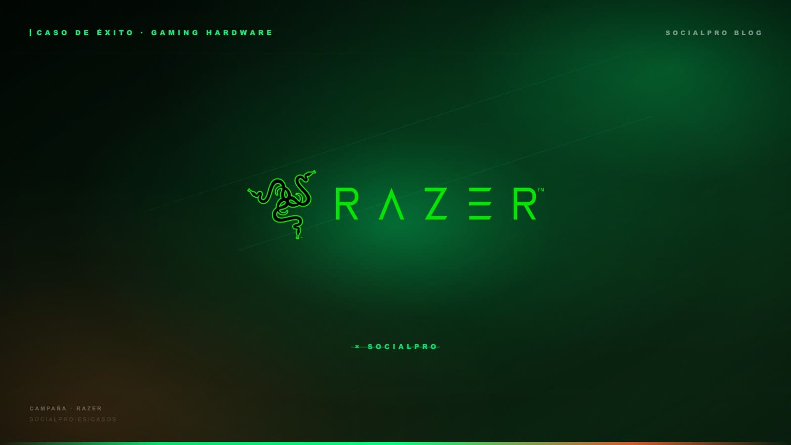 SocialPro × RAZER: activación con 13 creadores gaming y 2.5M de alcance