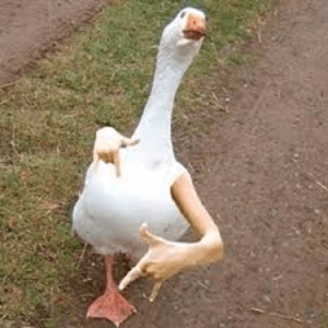 Supr3meeCS, streamer de Twitch, AR, 19.4K seguidores